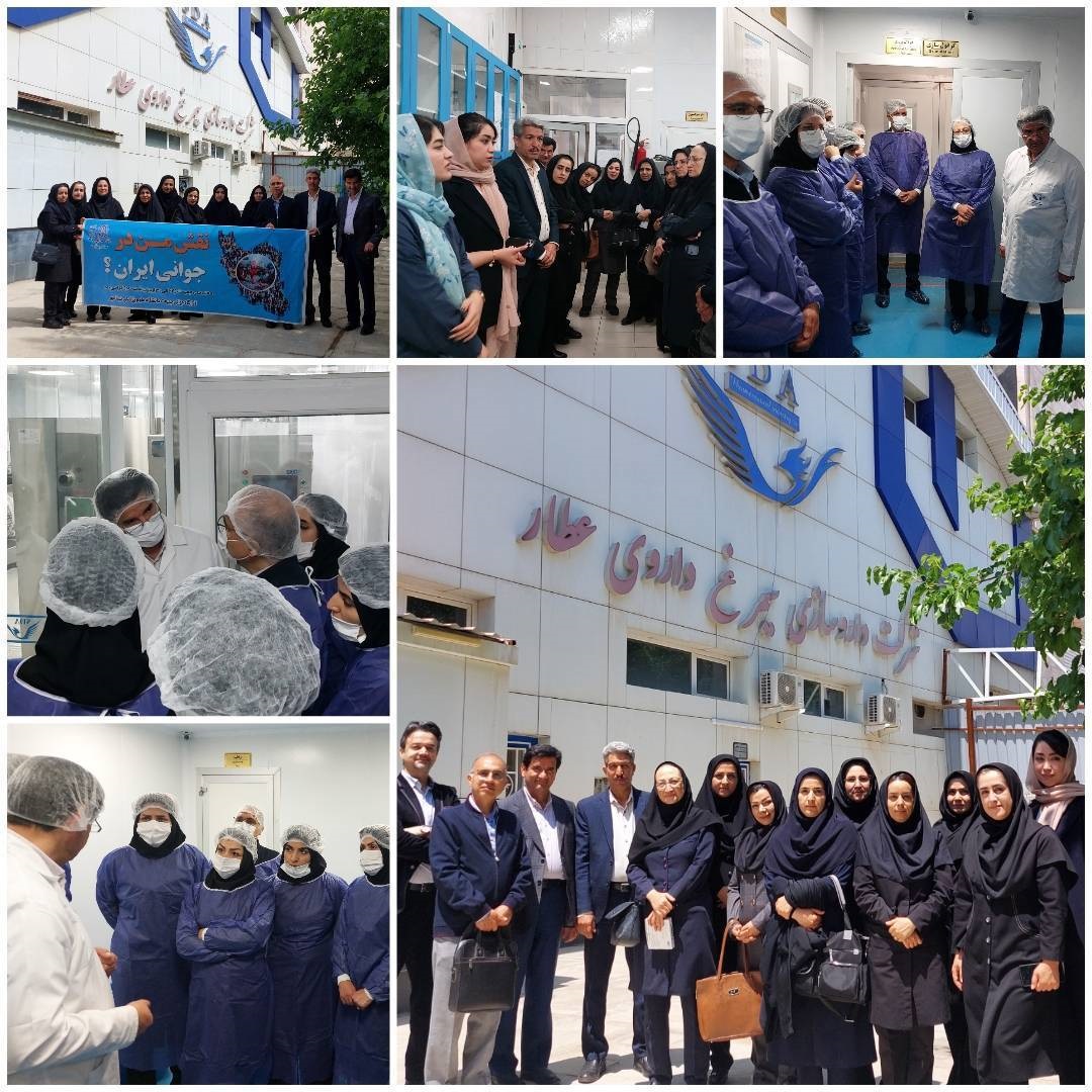 بازدید سیمرغ